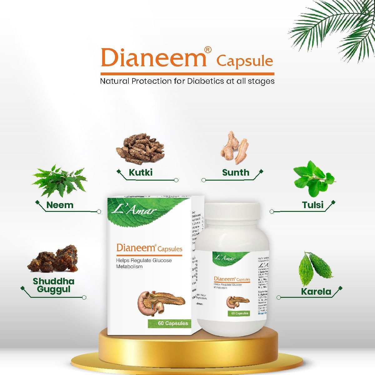 DIANEEM CAPSULES 60'S - Video thumbnail